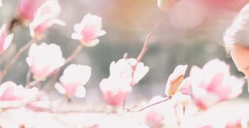 header-test2 header-test2