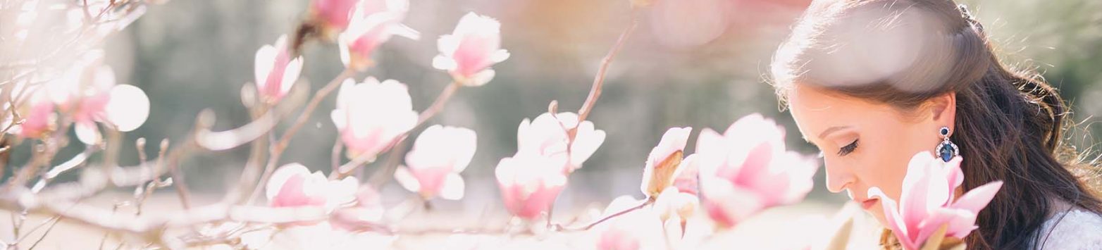 header-test2 header-test2