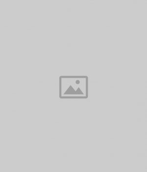 placeholder placeholder